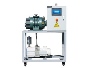 Roots Vacuum Systems