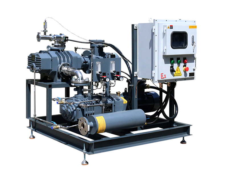 Roots Screw Vacuum Systems