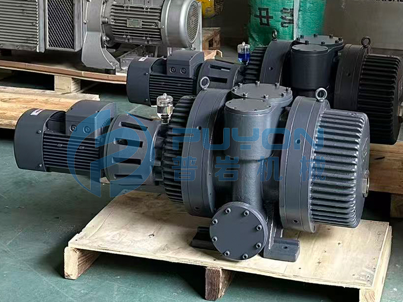 Schematic diagram of a Roots booster vacuum pump structure